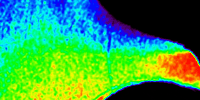 NASA’s CODEX Captures Unique Views of Sun’s Outer Atmosphere